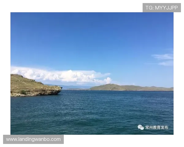 奇异果体育线上网址下载常见问题及解决方案，确保顺利使用体验